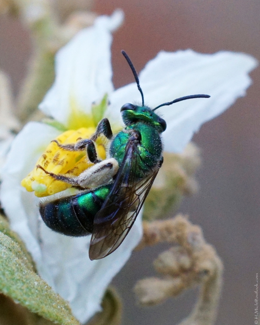 Studio-One.Art.br Repo Fotografia em Rio Preto SP/Brasil