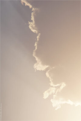2022 06 16(172)