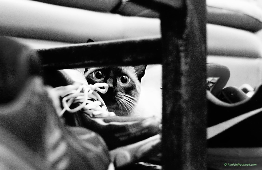 Studio-One.Art.br Repo Fotografia em Rio Preto SP/Brasil