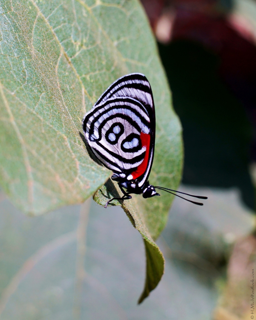 Studio-One.Art.br Repo Fotografia em Rio Preto SP/Brasil