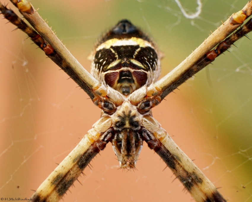 Studio-One.Art.br Repo Fotografia em Rio Preto SP/Brasil