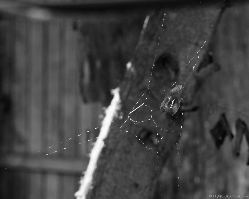 Studio-One.Art.br Repo Fotografia em Rio Preto SP/Brasil