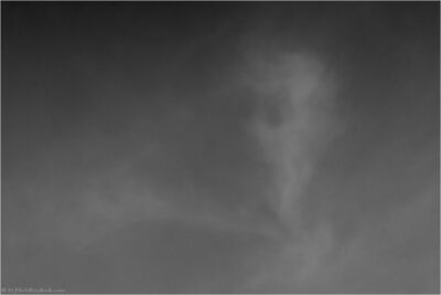2022 06 16(176)