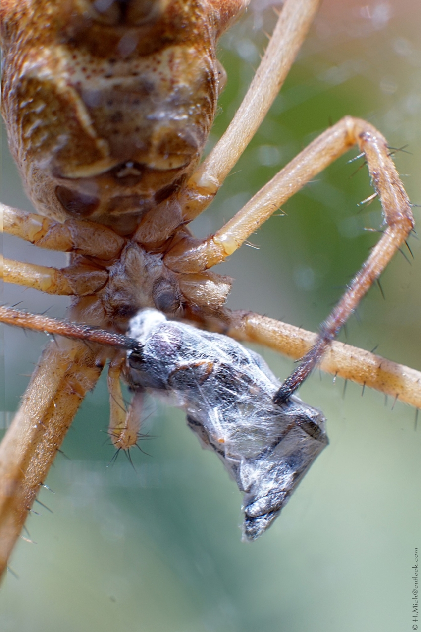 Studio-One.Art.br Repo Fotografia em Rio Preto SP/Brasil