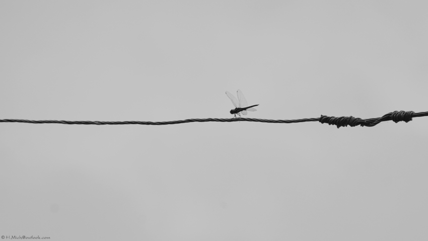 Studio-One.Art.br Repo Fotografia em Rio Preto SP/Brasil