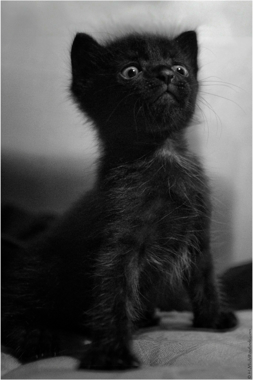 Studio-One.Art.br Repo Fotografia em Rio Preto SP/Brasil