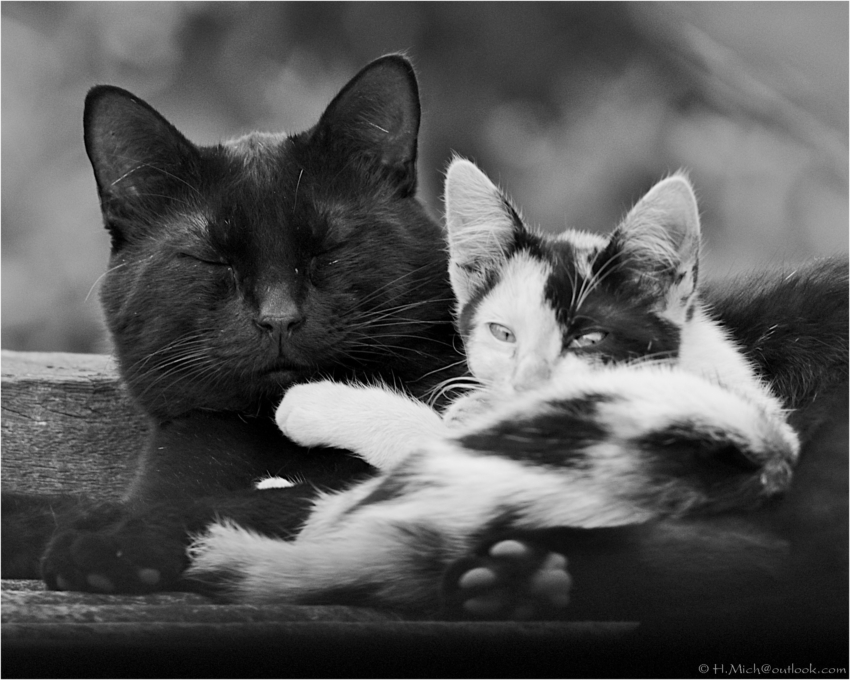 Studio-One.Art.br Repo Fotografia em Rio Preto SP/Brasil