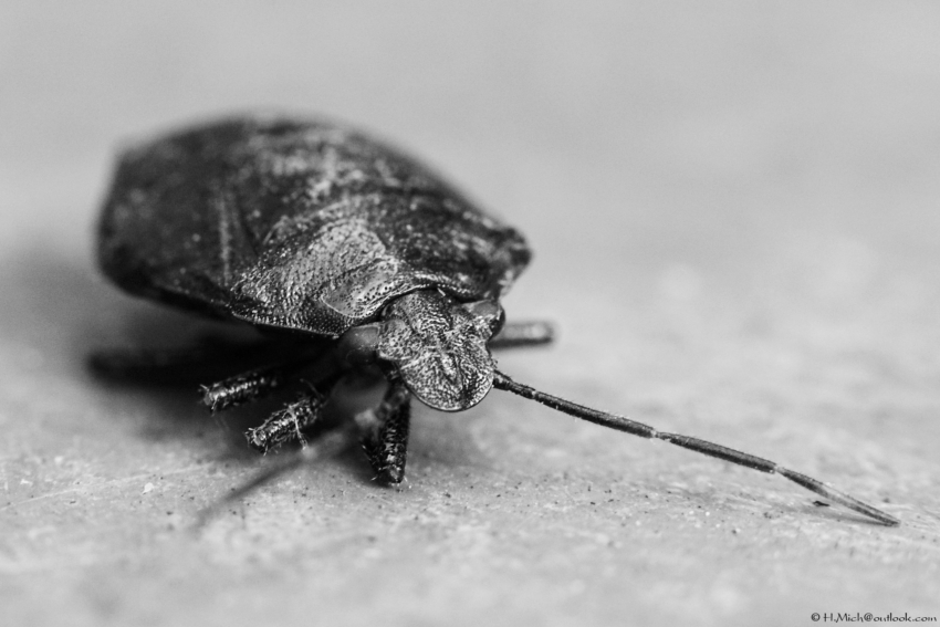 Studio-One.Art.br Repo Fotografia em Rio Preto SP/Brasil