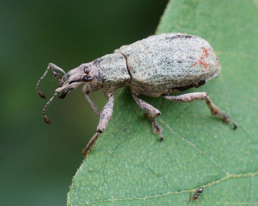 Studio-One.Art.br Repo Fotografia em Rio Preto SP/Brasil