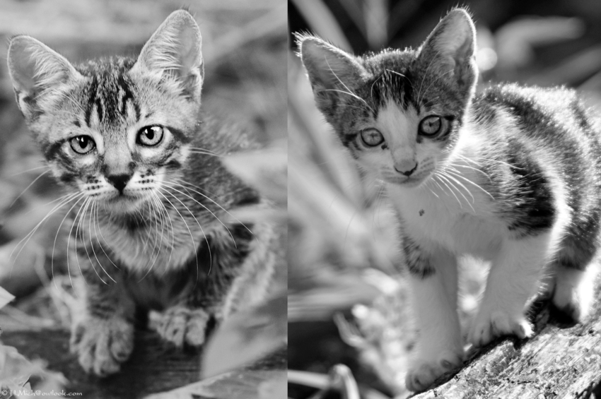 Studio-One.Art.br Repo Fotografia em Rio Preto SP/Brasil