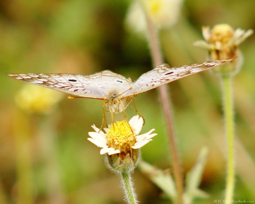 Studio-One.Art.br Repo Fotografia em Rio Preto SP/Brasil
