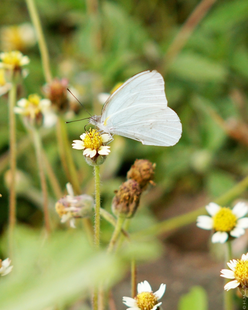 Studio-One.Art.br Repo Fotografia em Rio Preto SP/Brasil