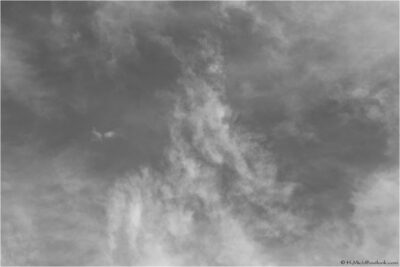 2022 06 16(183)