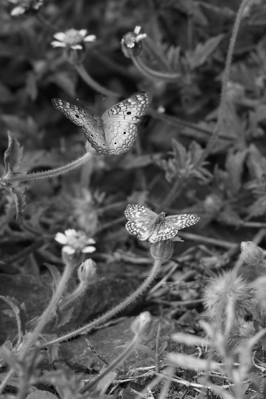 Studio-One.Art.br Repo Fotografia em Rio Preto SP/Brasil