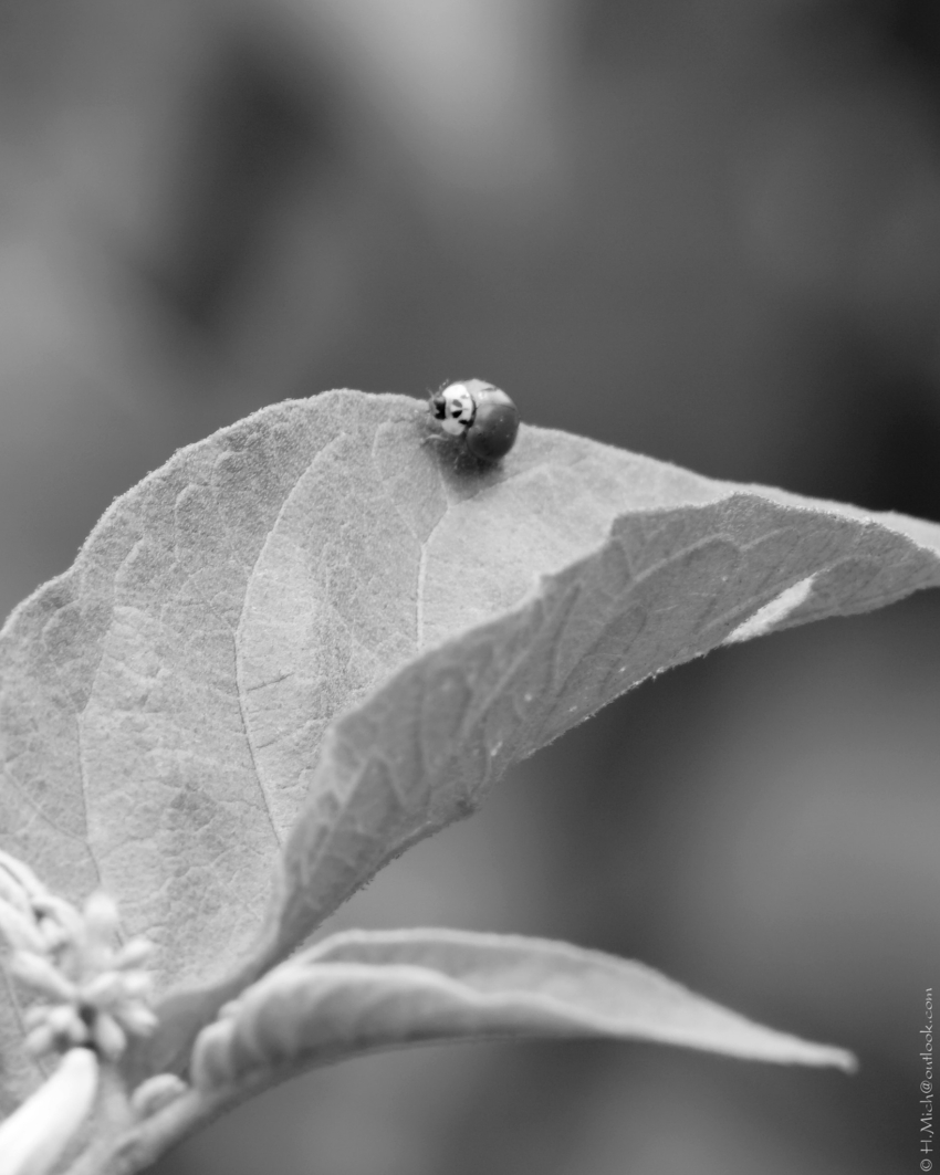Studio-One.Art.br Repo Fotografia em Rio Preto SP/Brasil