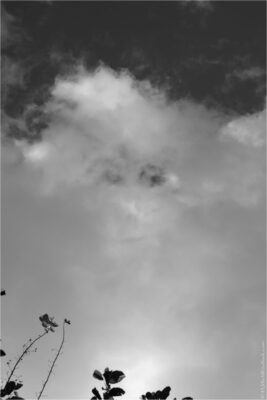 2022 06 16(185)