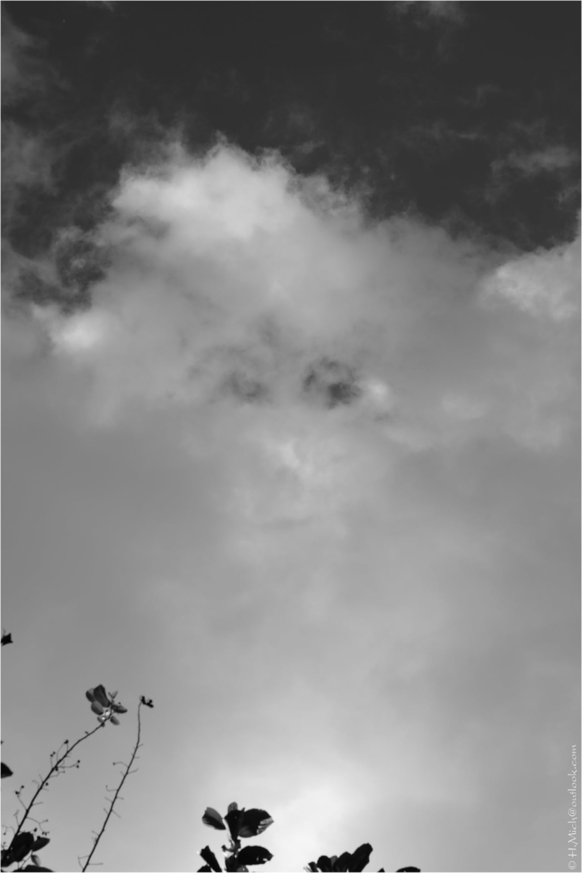 Studio-One.Art.br Repo Fotografia em Rio Preto SP/Brasil