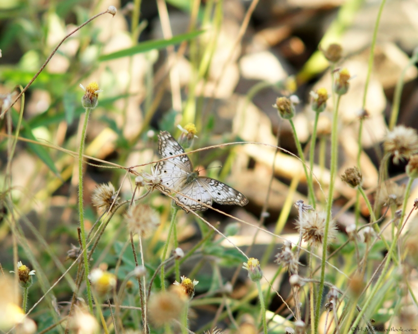 Studio-One.Art.br Repo Fotografia em Rio Preto SP/Brasil
