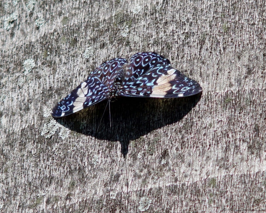 Studio-One.Art.br Repo Fotografia em Rio Preto SP/Brasil