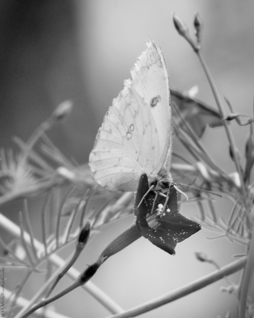 Studio-One.Art.br Repo Fotografia em Rio Preto SP/Brasil