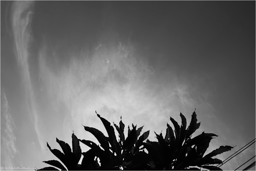 Studio-One.Art.br Repo Fotografia em Rio Preto SP/Brasil