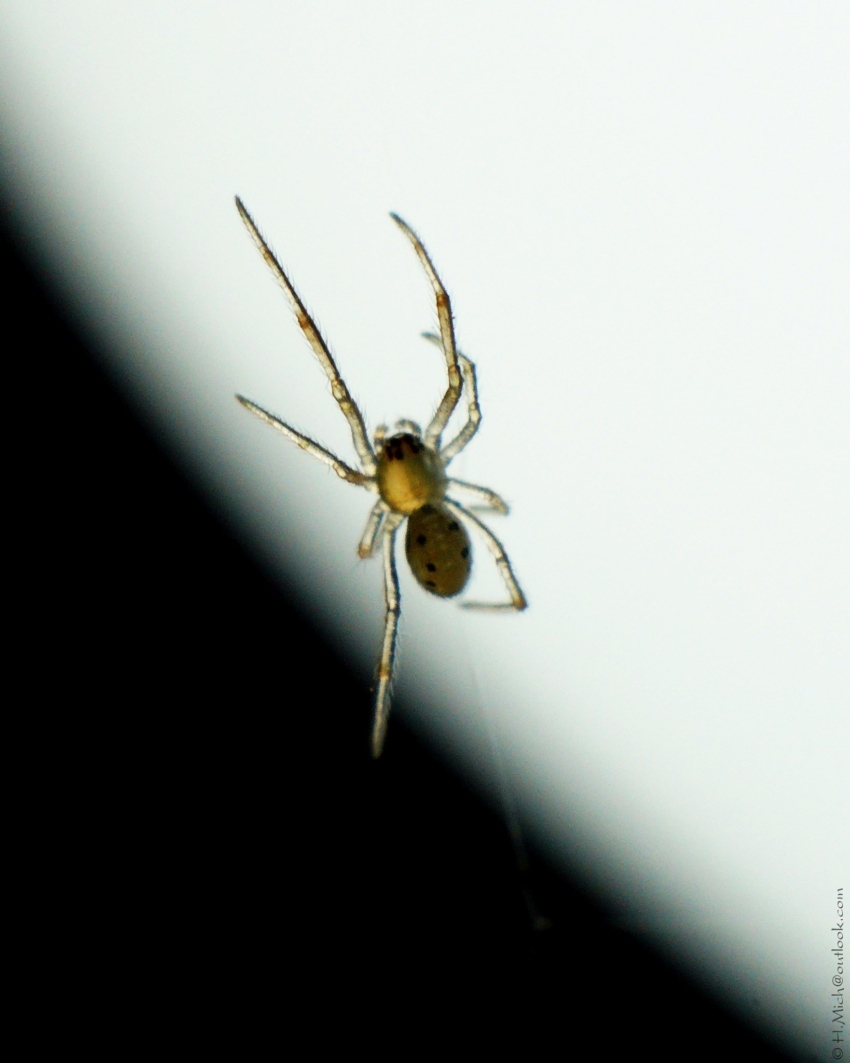 Studio-One.Art.br Repo Fotografia em Rio Preto SP/Brasil