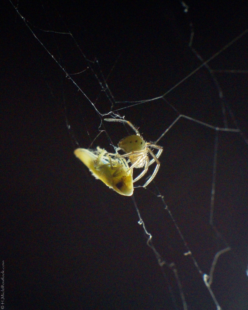 Studio-One.Art.br Repo Fotografia em Rio Preto SP/Brasil