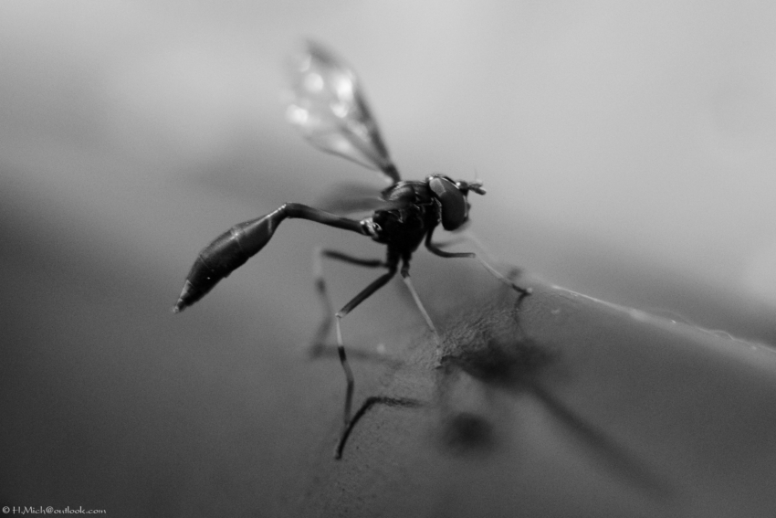 Studio-One.Art.br Repo Fotografia em Rio Preto SP/Brasil