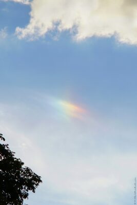 2022 06 16(19)