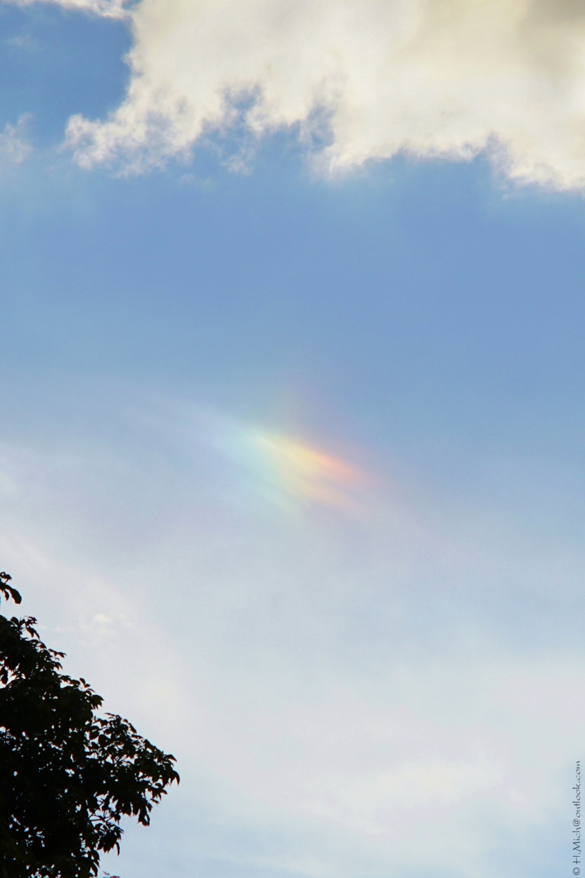 Studio-One.Art.br Repo Fotografia em Rio Preto SP/Brasil