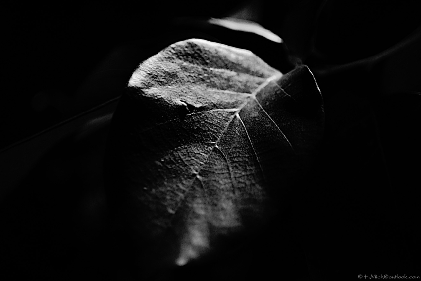 Studio-One.Art.br Repo Fotografia em Rio Preto SP/Brasil