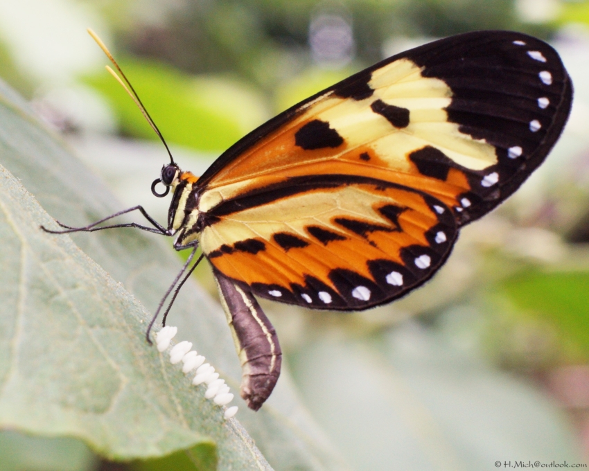 Studio-One.Art.br Repo Fotografia em Rio Preto SP/Brasil