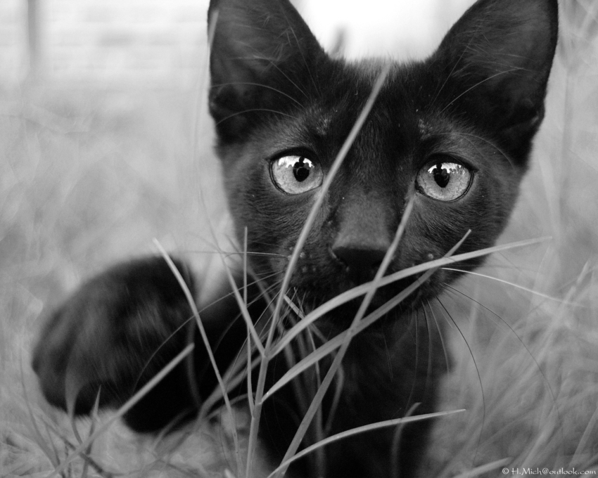 Studio-One.Art.br Repo Fotografia em Rio Preto SP/Brasil