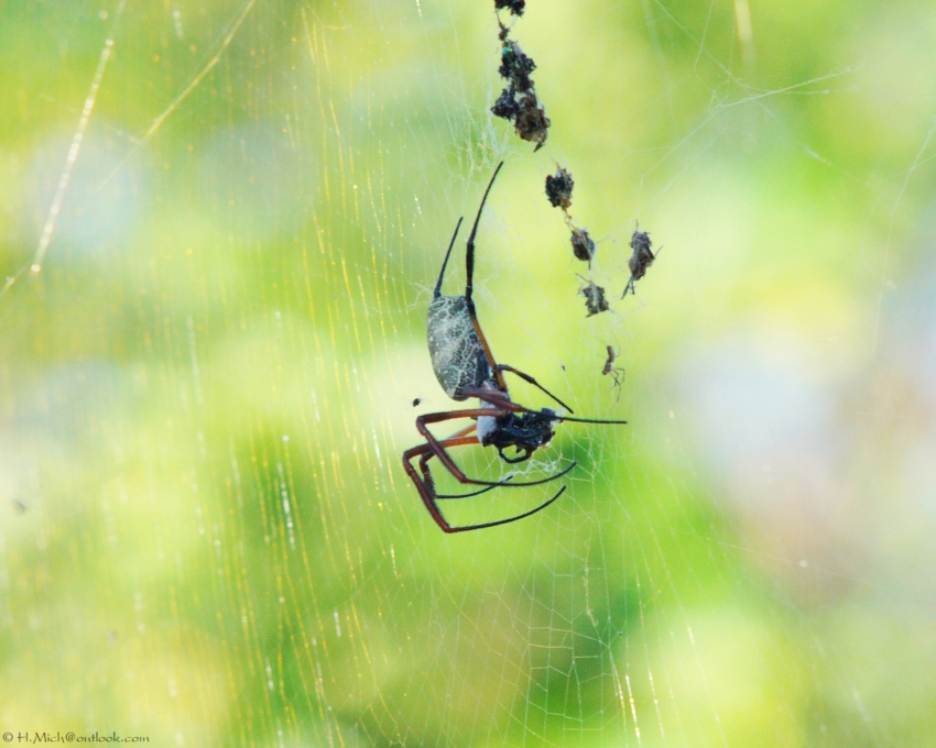 Studio-One.Art.br Repo Fotografia em Rio Preto SP/Brasil