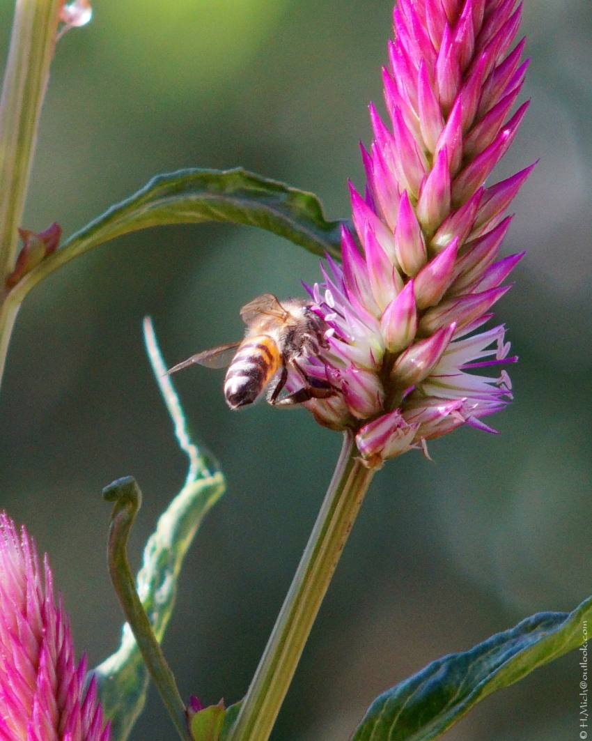 Studio-One.Art.br Repo Fotografia em Rio Preto SP/Brasil