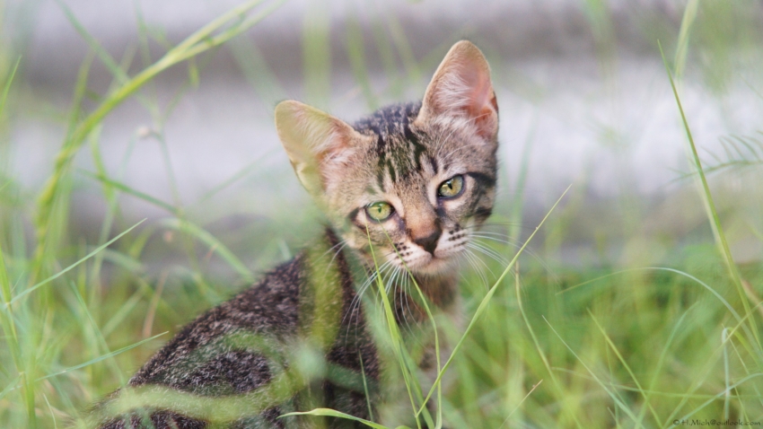 Studio-One.Art.br Repo Fotografia em Rio Preto SP/Brasil