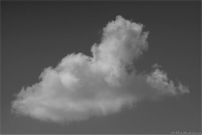 2022 06 16(195)