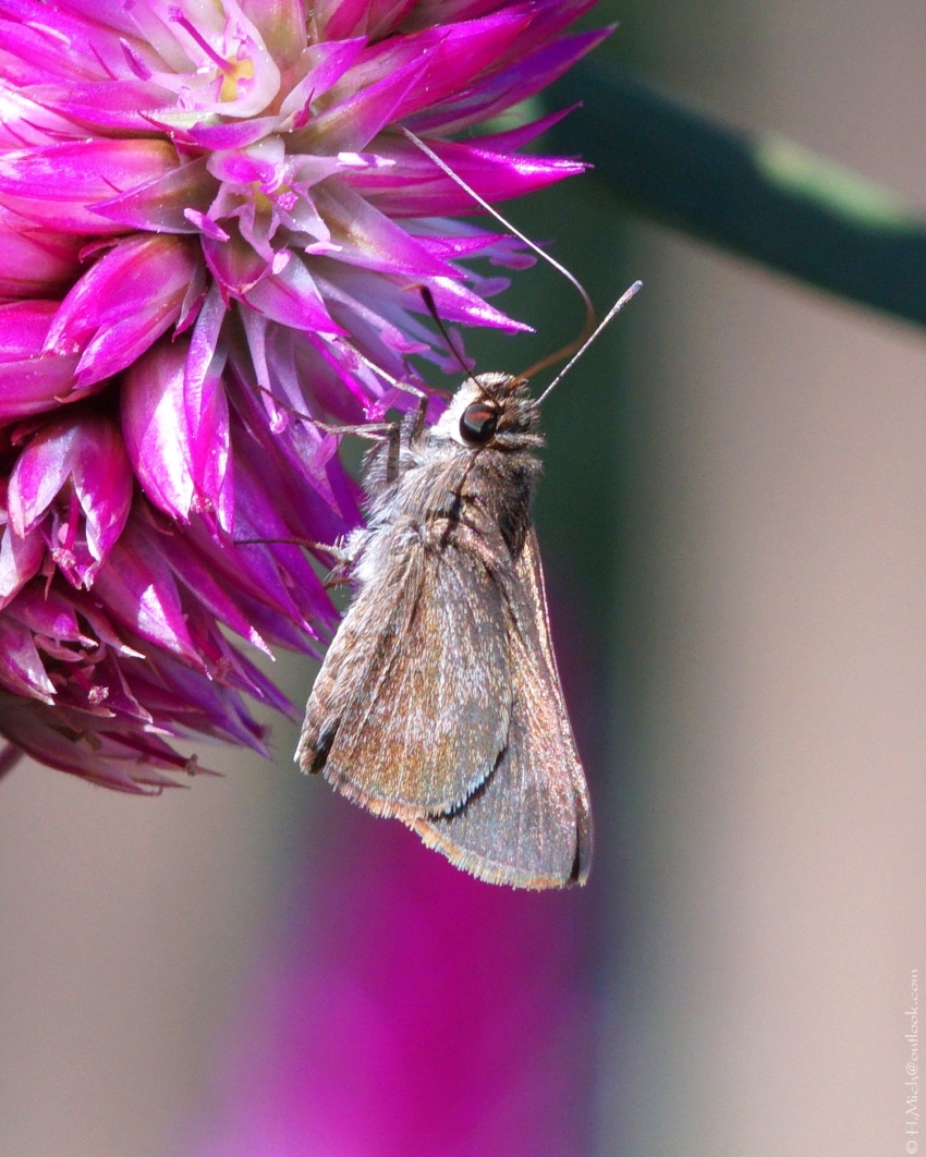 Studio-One.Art.br Repo Fotografia em Rio Preto SP/Brasil