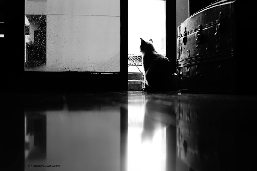 Studio-One.Art.br Repo Fotografia em Rio Preto SP/Brasil