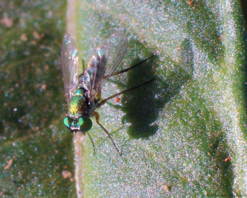 Studio-One.Art.br Repo Fotografia em Rio Preto SP/Brasil