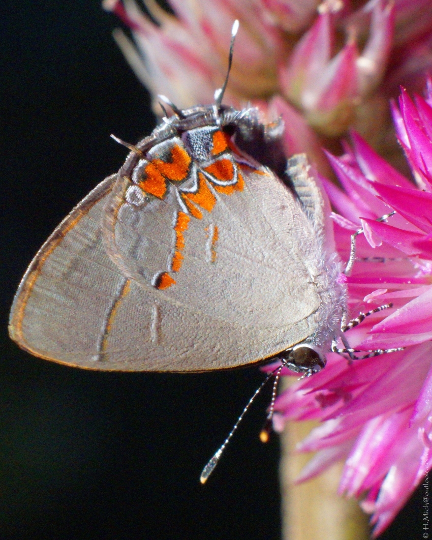 Studio-One.Art.br Repo Fotografia em Rio Preto SP/Brasil