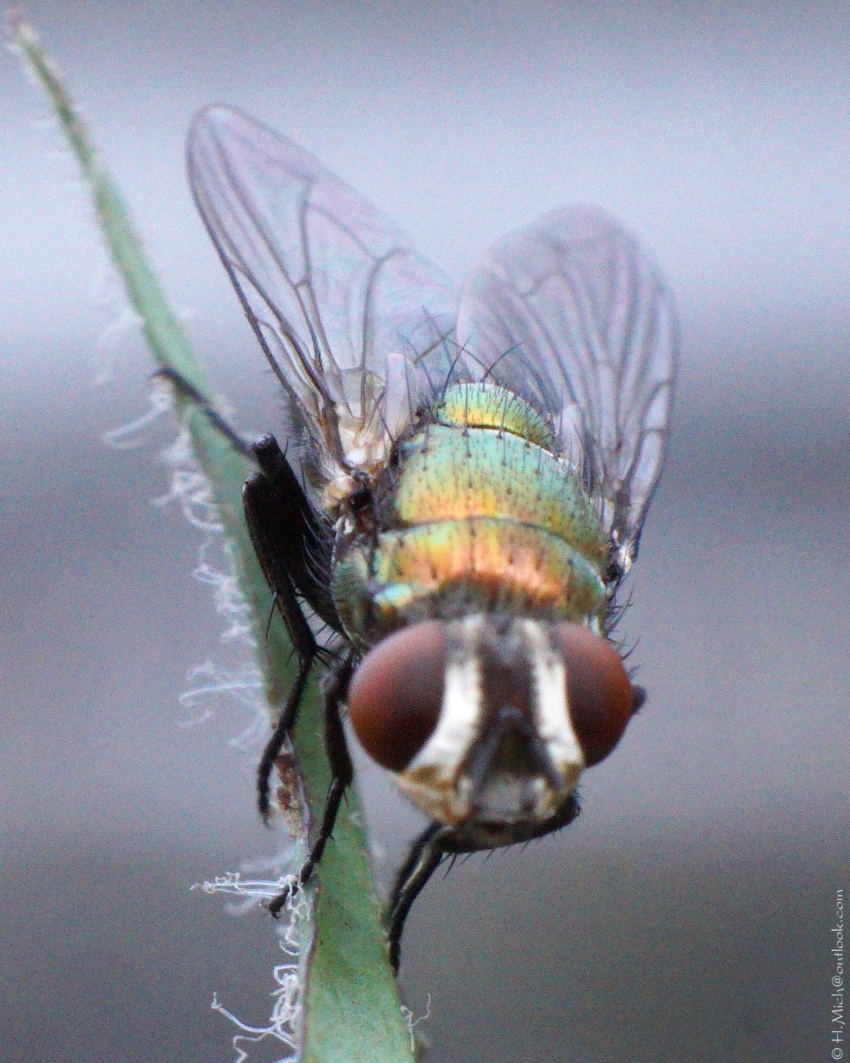 Studio-One.Art.br Repo Fotografia em Rio Preto SP/Brasil