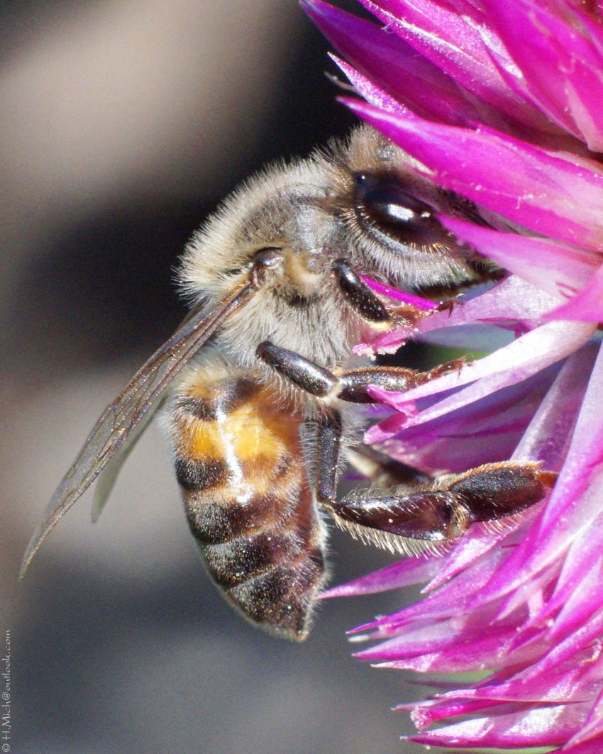Studio-One.Art.br Repo Fotografia em Rio Preto SP/Brasil
