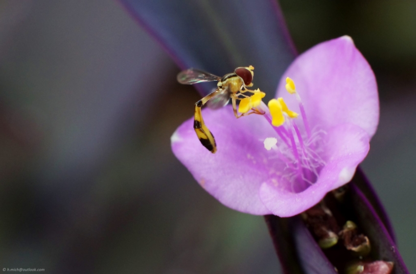 Studio-One.Art.br Repo Fotografia em Rio Preto SP/Brasil