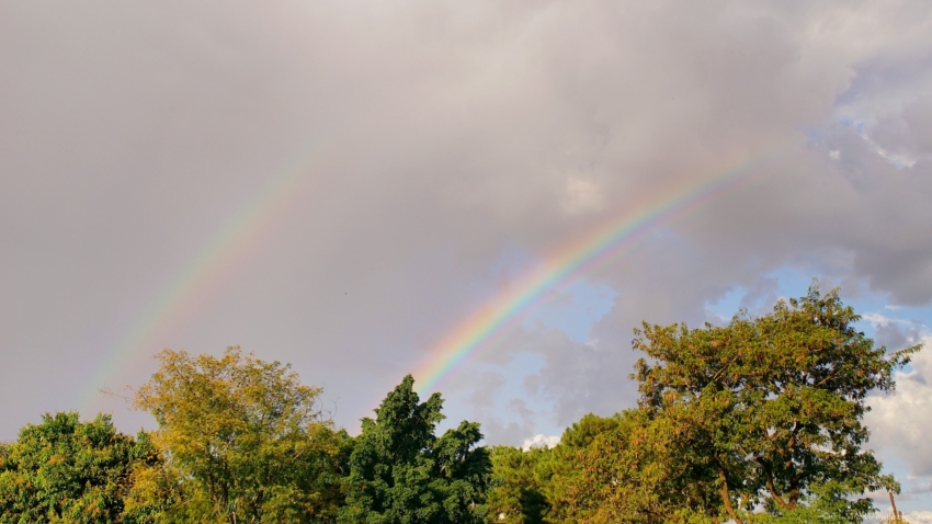 Studio-One.Art.br Repo Fotografia em Rio Preto SP/Brasil