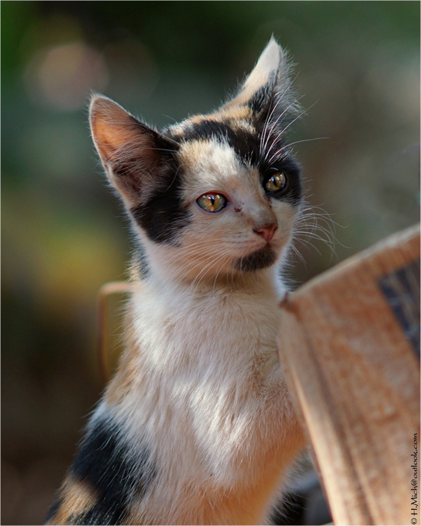 Studio-One.Art.br Repo Fotografia em Rio Preto SP/Brasil