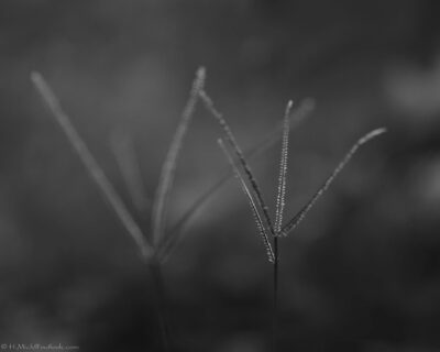 2022 06 16(2)
