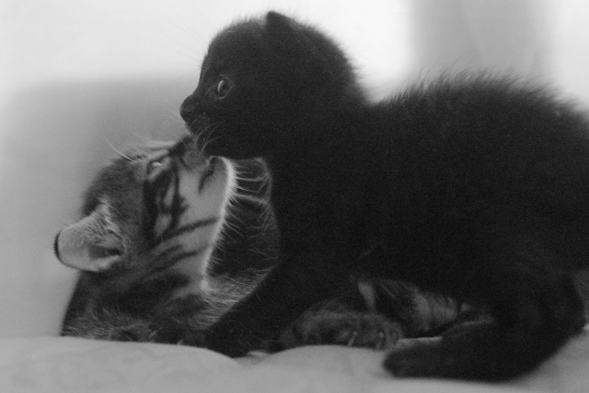 Studio-One.Art.br Repo Fotografia em Rio Preto SP/Brasil