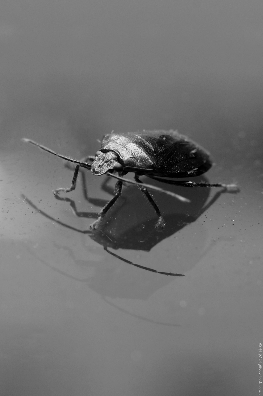 Studio-One.Art.br Repo Fotografia em Rio Preto SP/Brasil