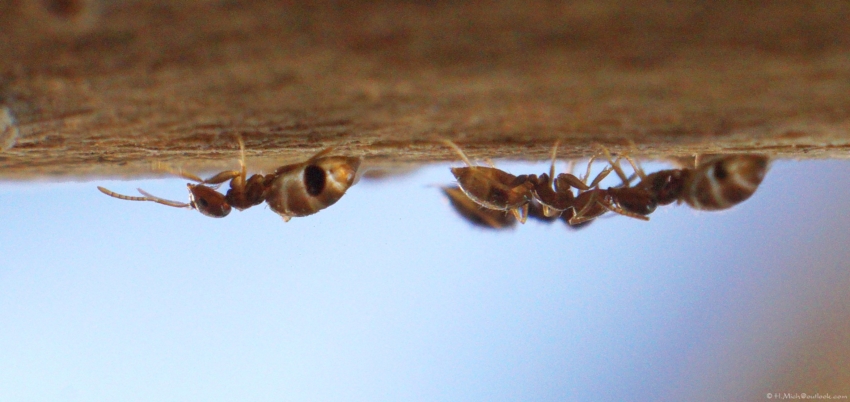 Studio-One.Art.br Repo Fotografia em Rio Preto SP/Brasil